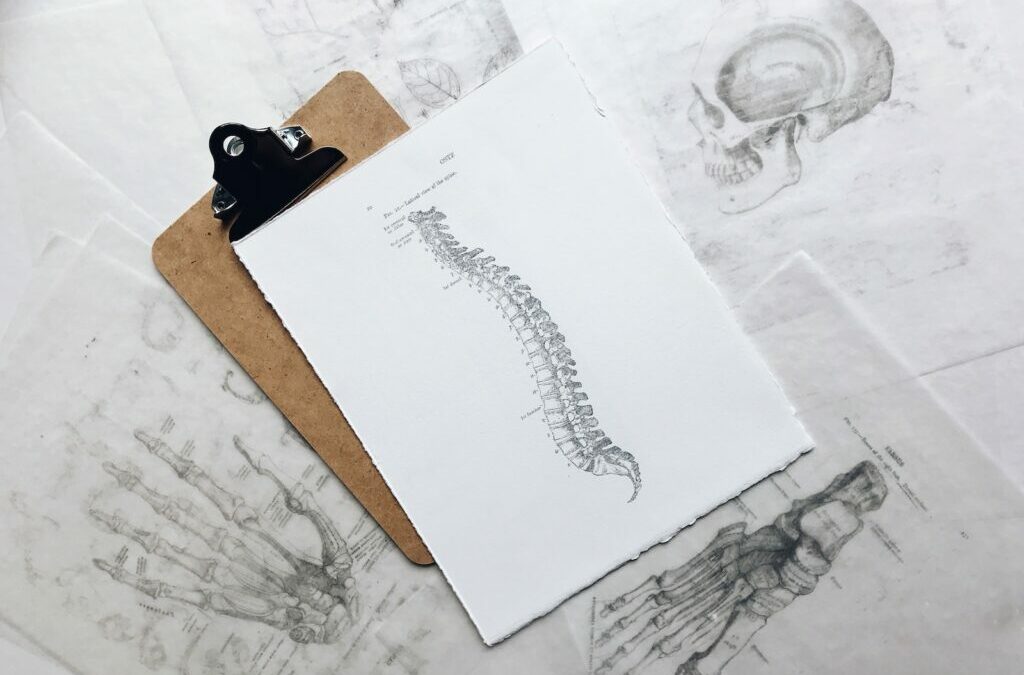 The Ultimate Guide to a Healthy Spine